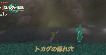 トカゲの隠れ穴