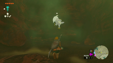 トカゲの隠れ穴のマップ