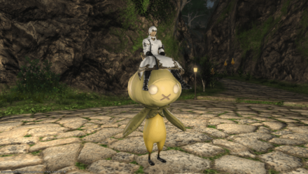 アイル・ガーリックスター