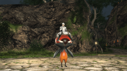 アイル・キングトマト