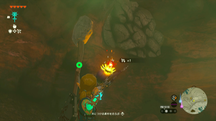 洞窟に入って左手にある岩壁の先にいる