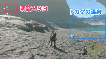 トカゲの温泉