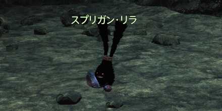 スプリガン・リラ画像