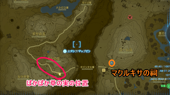 ぽかぽか草の実のズームマップから見た位置