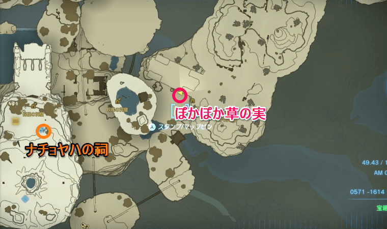 ポカポカ草の実、空島の詳細マップ