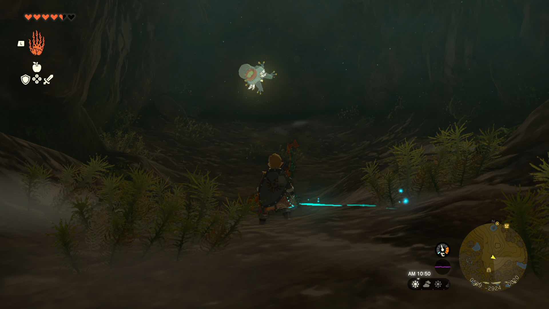 樹海フィンラスの遺跡窟のマップ