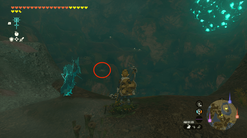 大マックストリュフの場所