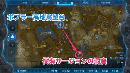 樹海サージョンの洞窟のマップ画像