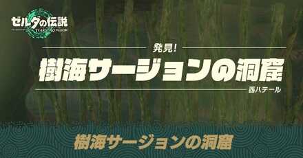 樹海サージョンの洞窟