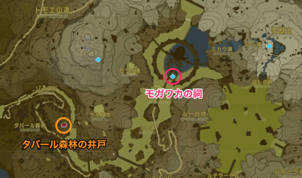 モガワカの祠周辺井戸