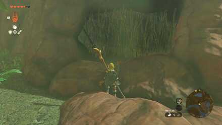 樹海サージョンの洞窟の入り口