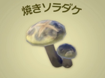 焼きソラダケ画像