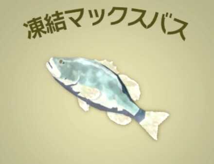 凍結マックスバス画像