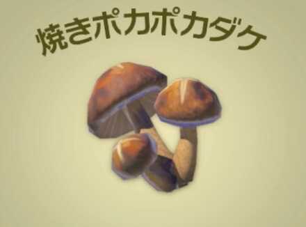 焼きポカポカダケ画像