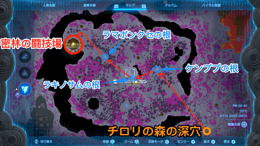 密林の闘技場の場所