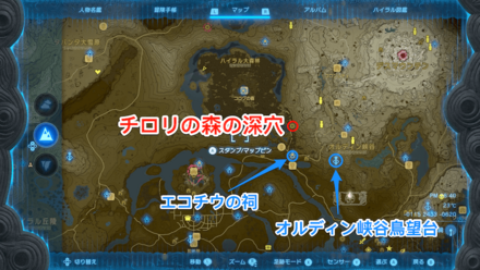 チロリの森の深穴の場所