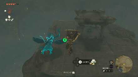 大きなゾナウエネルギーが入ってる宝箱