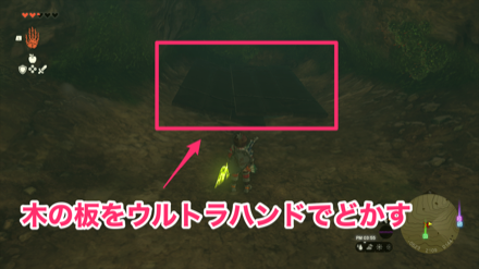 木の板をどかした先にいる