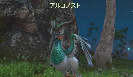 アルコノストの画像