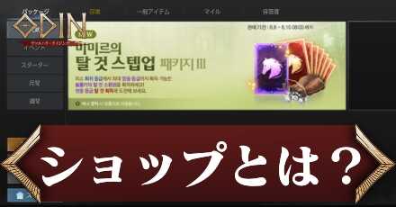 オーディンヴァルハラライジング攻略の ショップとは