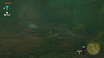 岩壁を壊した先にいる