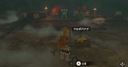 ツルギバナナを調べる