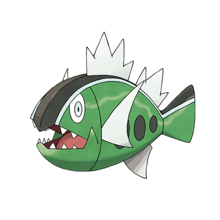 バスラオ(しろすじ)画像