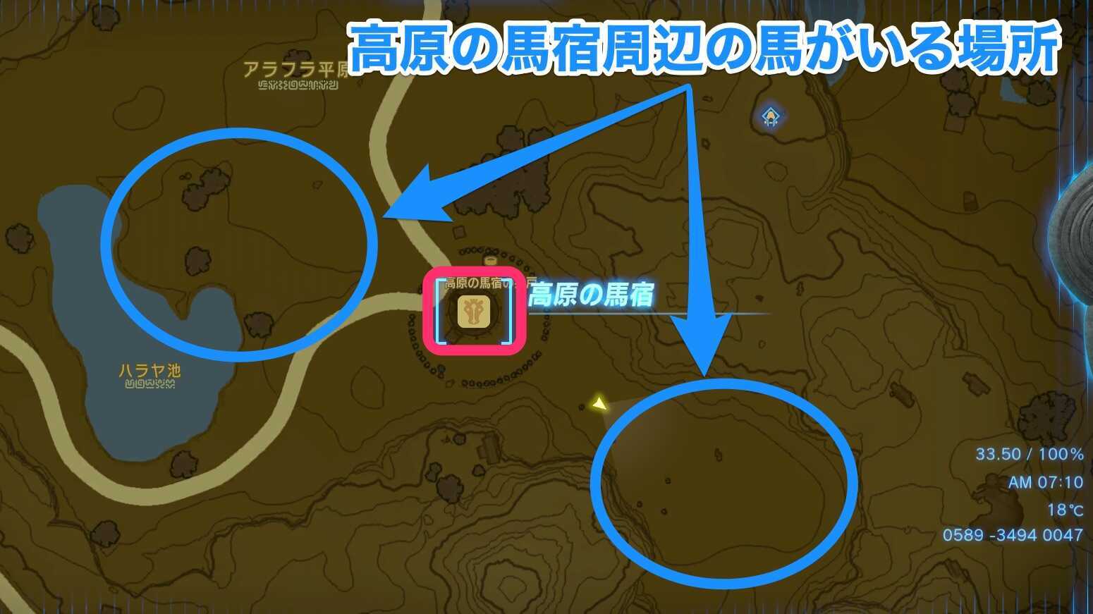 高原の馬宿周辺の馬