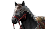漆黒鎧の戦馬画像