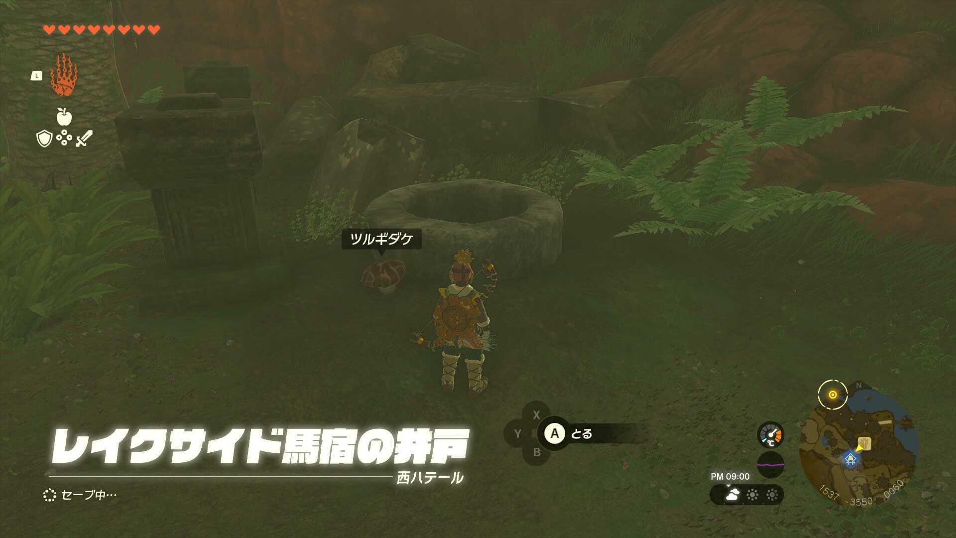 レイクサイド馬宿の井戸