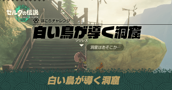 白い鳥が導く洞窟の攻略