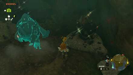 王家の隠し通路の希少鉱床