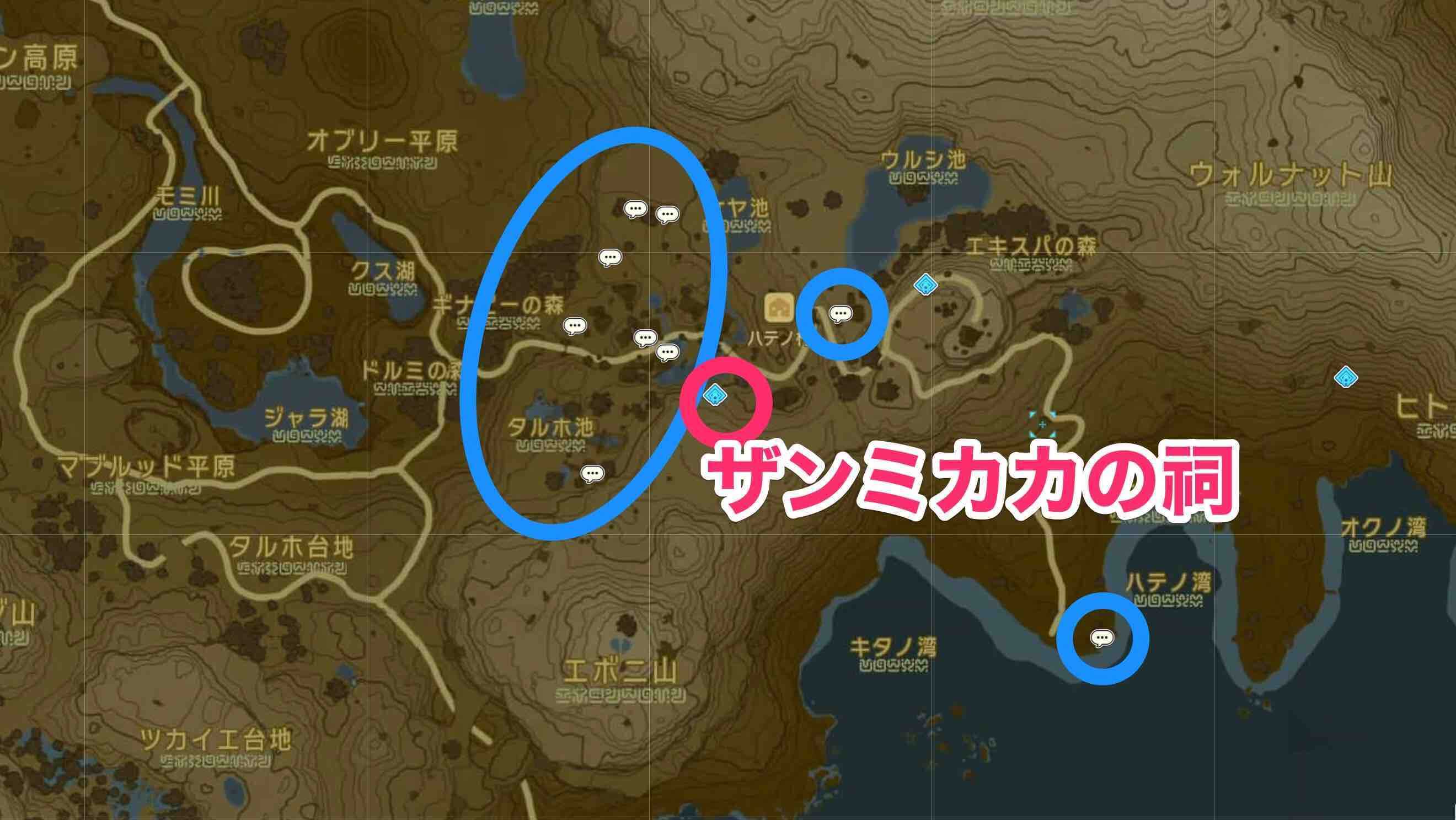 ザンミカカの祠周辺のミニチャレンジ