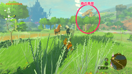 森の馬宿の付近馬