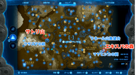 リス探しのマップ