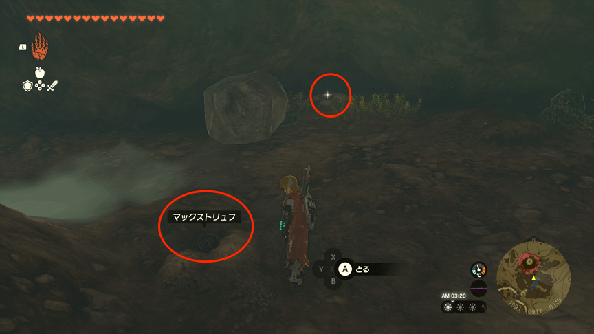 マックストリュフの見た目