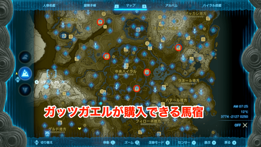 ガッツガエル全体マップ