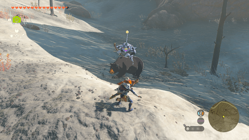 ハチクイグマの見た目