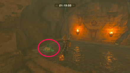 ぬいぐるみの場所