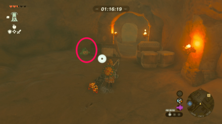 ぬいぐるみの場所