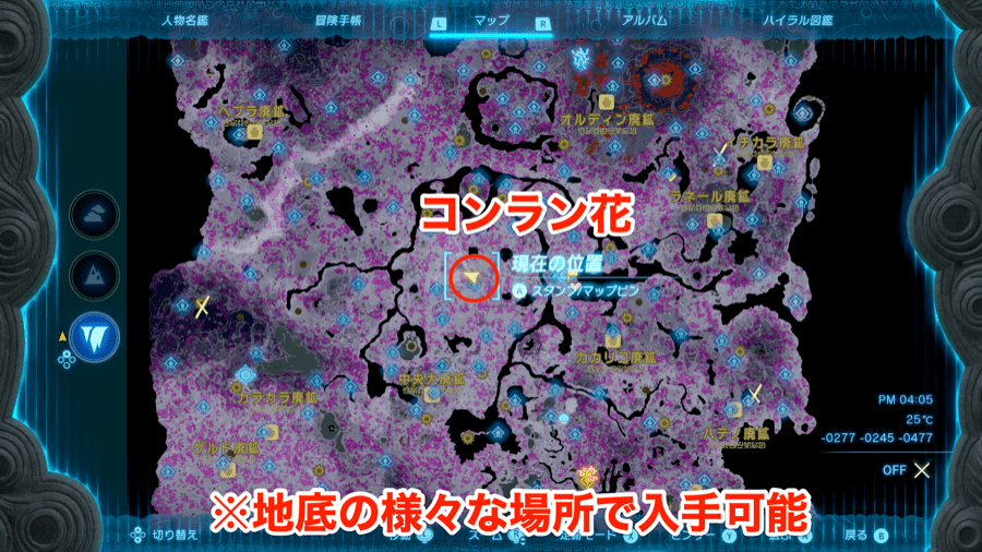 コンラン花全体マップ