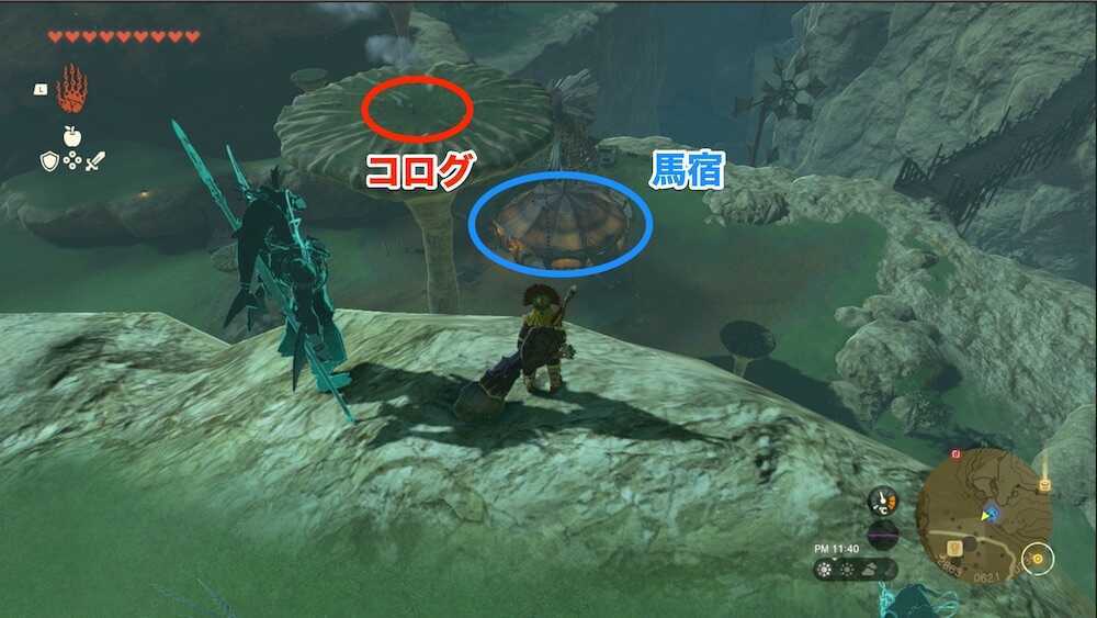 一番大きな木の傘の上