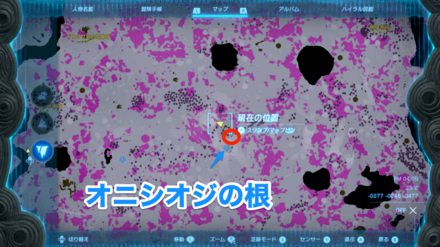 オニシオジの根とヤミホタル