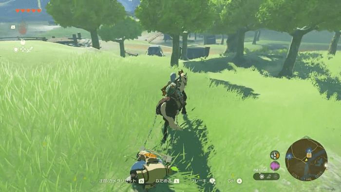 南の岩の上に居る