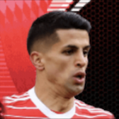 HPジョアンカンセロ(06/05)画像