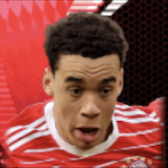 HPジャマルムシアラ(06/05)画像