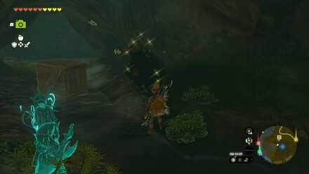 湿原の馬宿の井戸内の希少鉱床