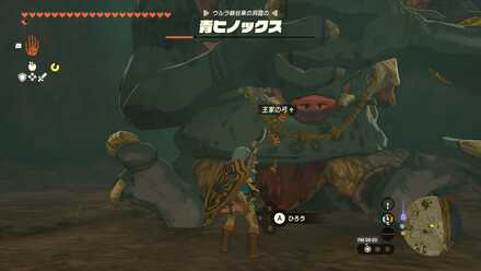 ヒノックスがもつ王家の弓