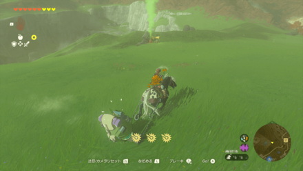 引っ張りハーネスでの移動がおすすめ