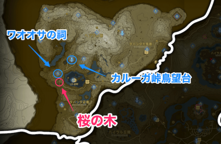 桜の木　ヘブラ